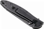 Couteau pliant Kershaw Random Leek Blackwash KS.1660RBW manche en acier inox 10,2cm