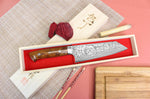 Couteau bunka japonais Takeshi Saji R2 Damas Mosaïque 18cm