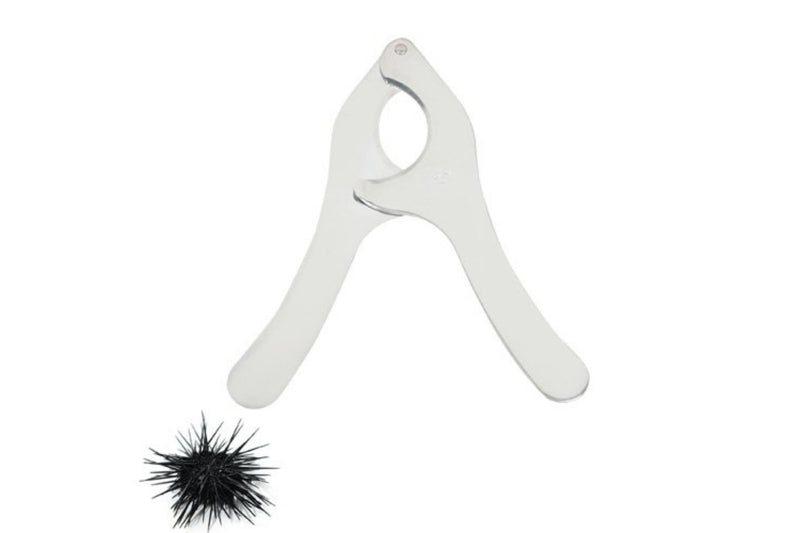 Coupe oursin Chevalier Diffusion en acier inox