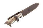 Couteau Muela Chevreuil 9220 lame en inox 22cm manche en bois de Cerf + étui en cuir