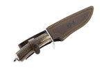 Couteau Muela Magnum 9229 lame en inox 19cm manche en bois de cerf + étui en cuir