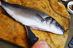 Couteau Marttiini Fish Cleaner 175019 lame 10cm manche caoutchouc + étui