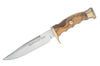 Couteau Muela Ranger 9270 lame 14,5cm inox manche en bois d'olivier + étui en cuir