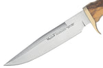 Couteau Muela Ranger 9270 lame 14,5cm inox manche en bois d'olivier + étui en cuir