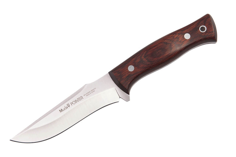 Couteau Muela Pointer 9330 lame 12cm en inox manche en stamina + étui en cuir