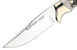 Couteau Muela Setter 9266 lame 11cm en inox manche en bois de cerf + étui en cuir