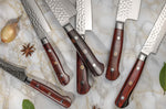 Couteau bec d'oiseau Fukito Rosewood Damas 67 couches 8cm