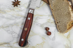 Couteau à pain Fukito Rosewood Damas 67 couches 21cm