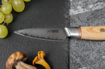 Couteau d'office Fukito Pakka San Mai 9cm