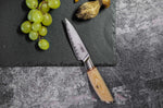 Mallette 4 couteaux de cuisine Fukito Pakka San Mai