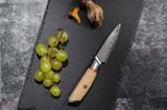 Mallette 4 couteaux de cuisine Fukito Pakka San Mai
