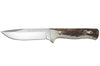 Couteau Puma IP Nordic I Stag 310712 lame 11,4cm manche bois de cerf + étui cuir