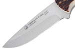Couteau Puma IP Catamount Stag II 304211 lame 11,1cm manche bois de cerf + étui en cuir