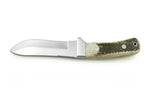 Couteau Puma IP Montero Stag 329712 lame 12cm manche bois de cerf + étui en cuir