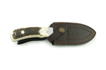 Couteau Puma IP Schwarzwild 338212 lame guthook 12cm manche bois de cerf + étui en cuir