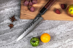 Couteau universel Sayuto Séquoia San Mai martelé 13,5cm
