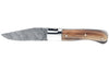 Couteau pliant Laguiole GILLES 9781 manche en pointe de corne 10,5cm