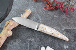 Couteau à huître Charles Canon manche en coquille Saint-Jacques fabriqué en France + coffret en bois