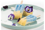 Moule à glaces en silicone Silikomart Mini Vintage - 4 empreintes