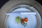 Coffret 4 couteaux de table Opinel Facette manche VittEr® blanc lame 11cm inox lisse
