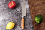 Couteau santoku 18cm Wusaki Fujiko 10CR damas