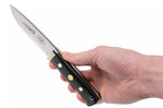 Couteau Fallkniven F1 Swedish Air Force NG F1L3Gbm édition limitée lame 10cm manche micarta noir + étui cuir + coffret