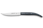 Coffret de 4 couteaux à steak Arcos The Origin manche micarta bleu