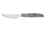 Coffret de 6 couteaux à steak/pizza Arcos lame dentelée 11cm manche bois bleu