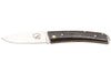 Couteau pliant Salamandra manche corne de buffle 9cm