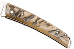 Couteau pliant Salamandra manche corne brute 9cm