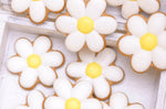 Set de 8 découpoirs professionnels fleurs cannelées polygass