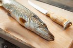 Couteau Arctic Legend Fillet Knife AL023 artisanal lame 16cm manche en bouleau frisé + étui en cuir