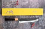 Couteau de chef 24cm japonais artisanal Yuzo Black SLD ébène et olivier