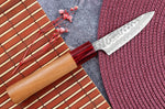 Couteau d'office japonais artisanal Tsunehisa Aogami Super martelé 8cm