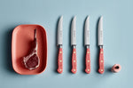 Set de 4 couteaux à steak Wusthof Classic Colour Coral Peach forgés lame 12cm