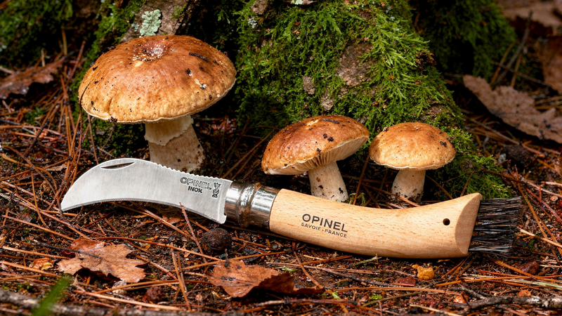 Comment bien choisir son couteau à champignon ? Le guide