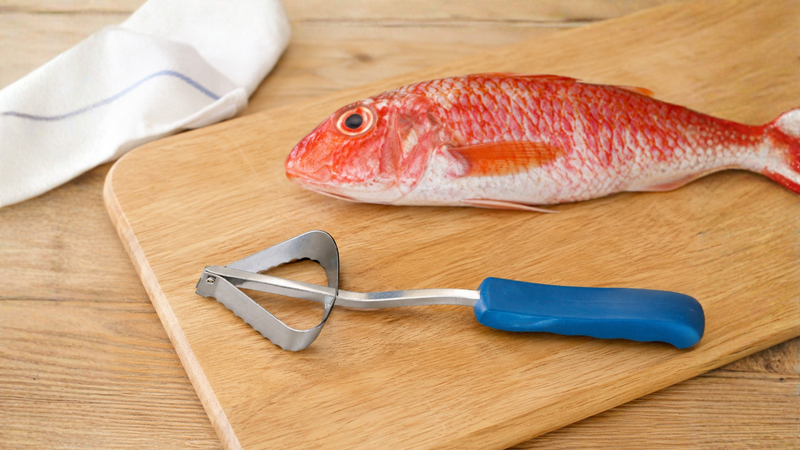 Comment écailler un poisson à la maison ? Nos méthodes simples et efficaces